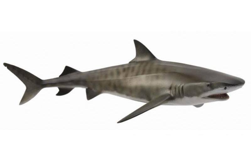 CollectA - Tiger Shark