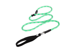 Pet Training Leash Slip Collar Dog Walking Supplies - Grass Green - M