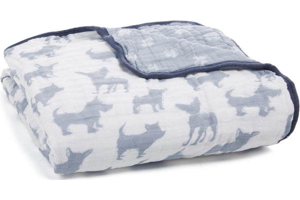 Aden + Anais: Dream Blanket - Waverly-Pup