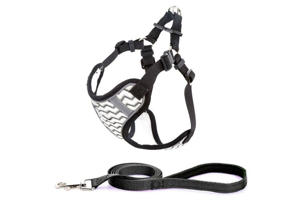 Stripe Printing Design Breathable Reflective Harness With Leash