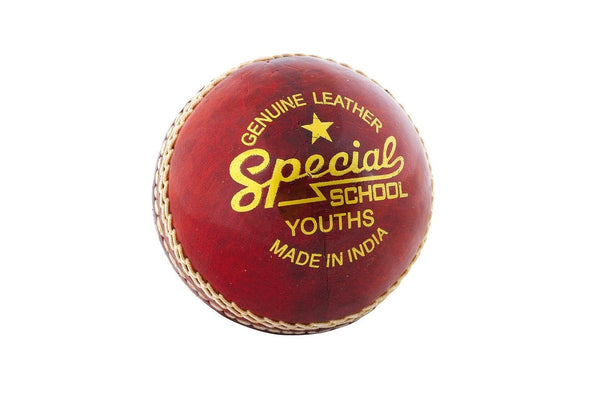 Readers Childrens/Kids Special School Leather Cricket Ball (Red) (One Size)