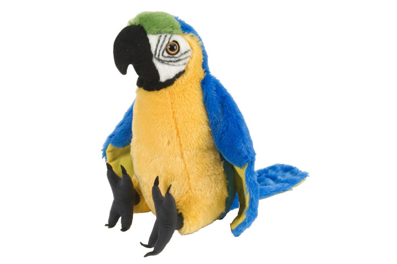 Cuddlekins: Macaw Parrot - 12 Inch Plush