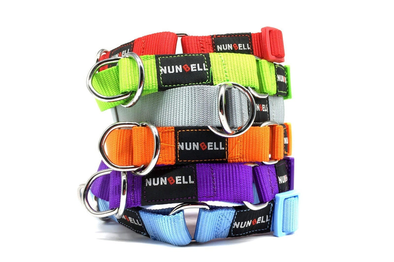 DOG TRAINING CHOKER Collar Martingale Adjustable Lead 1.5cm Width