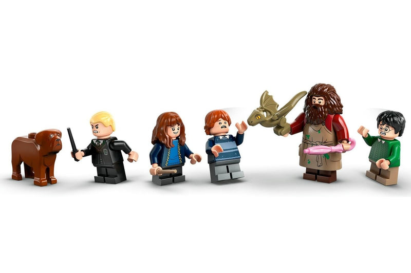 LEGO Harry Potter: Hagrid's Hut: An Unexpected Visit - (76428)