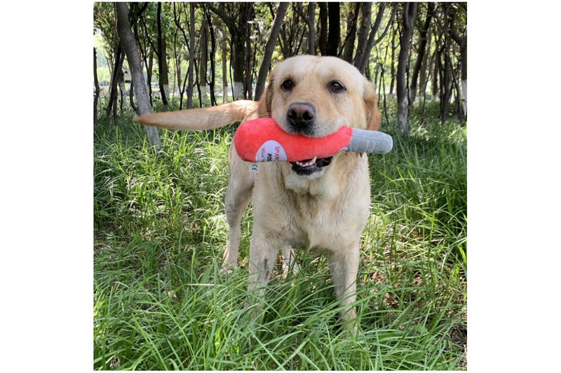 Unique Squeaky Plush Dog Toys - NZ Stock