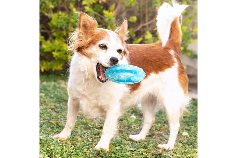 2-in-1 Freezable Pet Chew Toy Glubiz Innovagoods