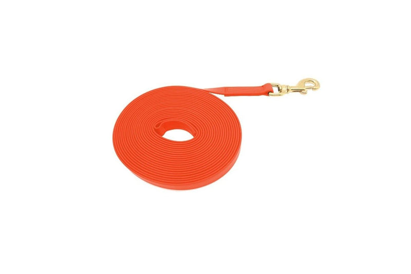 Waterproof Durable Dog Leash With p Shape Hook