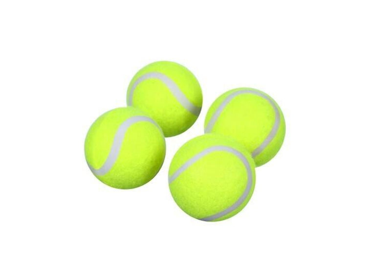 16PK Paws & Claws 4cm Mini Tennis Ball Dog Toy Interactive Fun Play Game Assort.