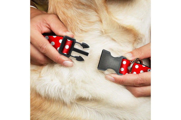 Disney: Minnie Mouse Dog Martingale Collar - Medium (2.5cm)