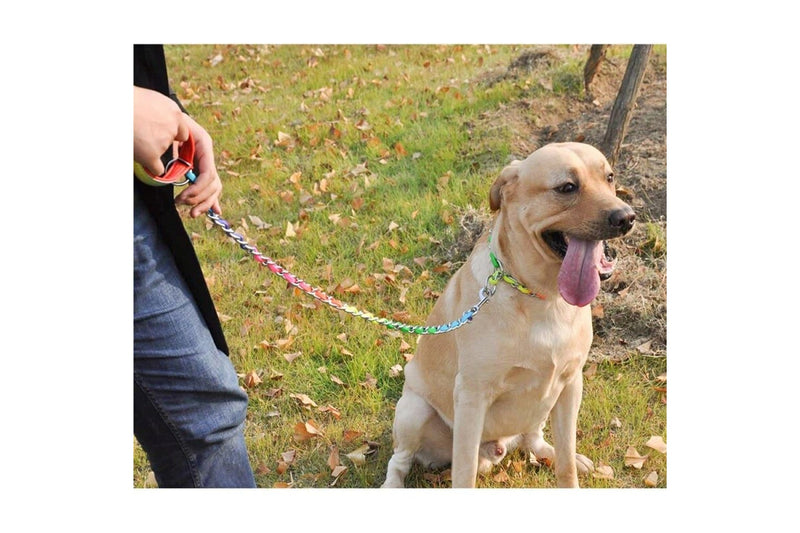 Sturdy Stainless Steel Metal Chain Dog Collar Lead Set For Small Medium And Large Dogs