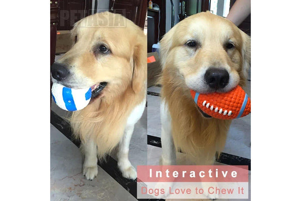 Interactive Rubber Chew Ball For Dogs