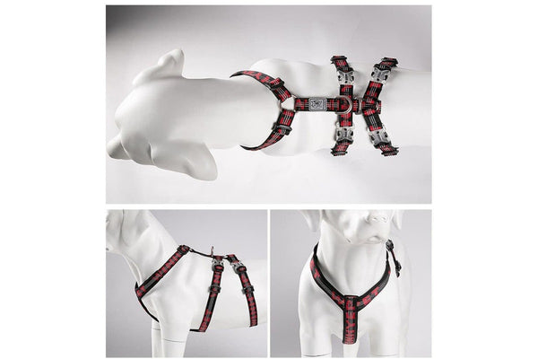 Double h Trail Runner Reflective Harness