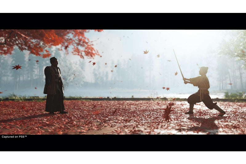 Ghost of Tsushima Director's Cut