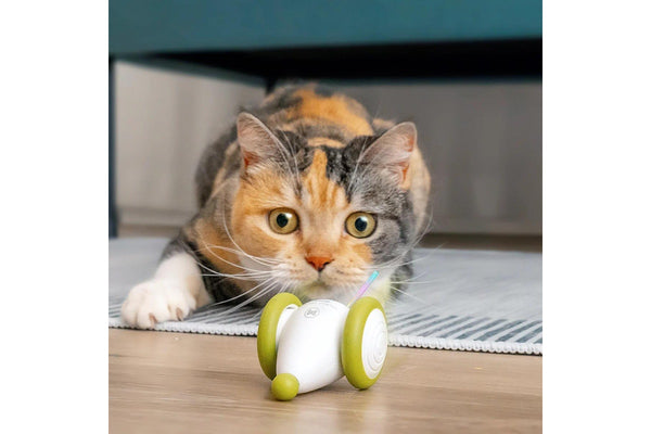 Cheerble Wicked Mouse PLUS Smart Bionic Mouse Interactive Cat Toy Apple Green