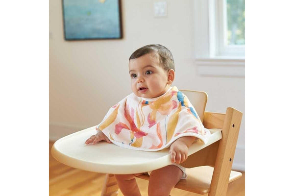 Aden + Anais: Silky Soft Bamboo Burpy Bib - Festival