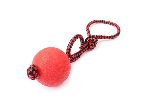 Pet Health Dog Molars Toys With Stretchy Rope Rubber Ball Biting Training - Red