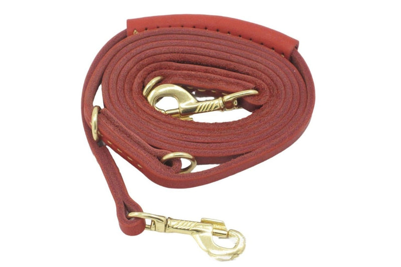 Leather Handle Dog Leash With p Shape Hook