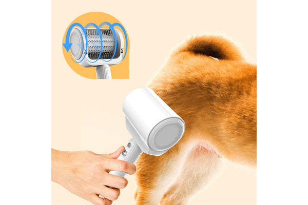 Rechargeable Pet Hair Brush