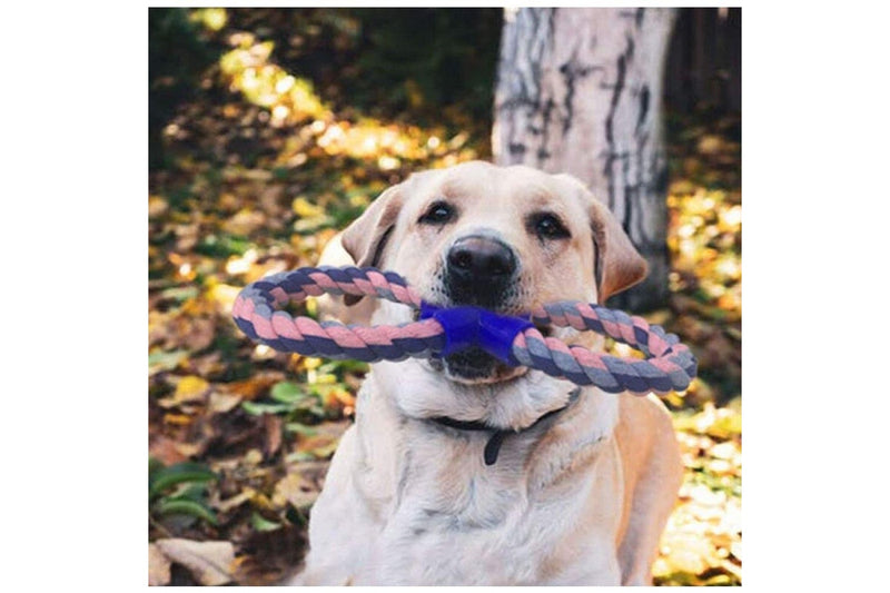 Strong Non-toxic Natural Cotton 8 Shaped Dog Rope Chew Toys Play Game Training And Massage Gums