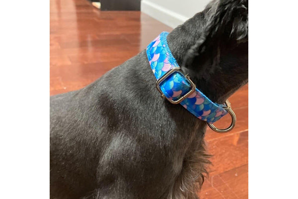 Sturdy Lightweight Adjustable Comfortable Mermaid Blue Collar For Small Medium And Large Dogs