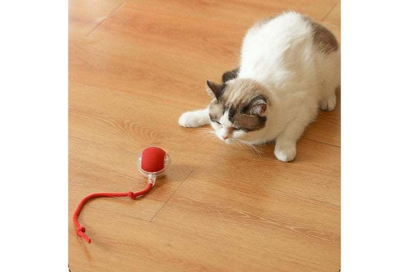 Interactive Cat Toy Ball Fast Rolling Chirping Motion Activate Cat Toy Red