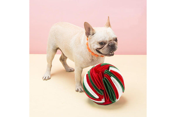 Pet Snuffle Ball Red