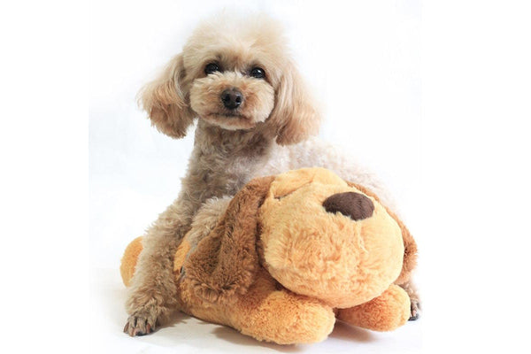 2 Sets of Heartbeat Pet Anxiety Plush Dog Toy Sleep Comforter One Size