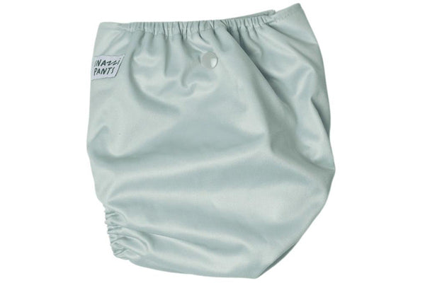 Snazzi Pants: All in One Reusable Nappy - Sage