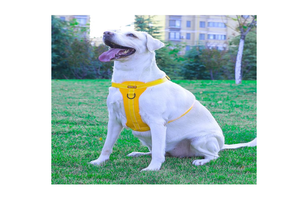 Reflective No Pull Adjustable Vest Dog Harness Leash With Handle Walking Training Pet Yellow - Xl