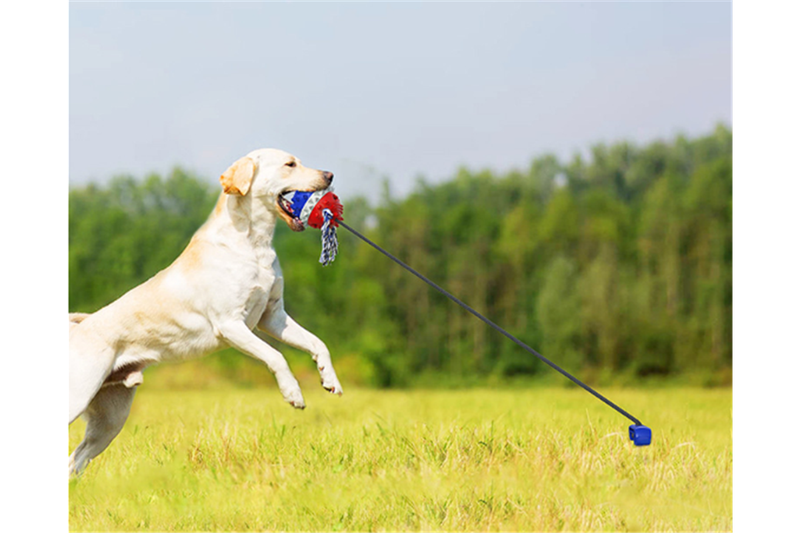 Anti Boredom Fun Dog Ball Toy With Ground Stake - Yellow