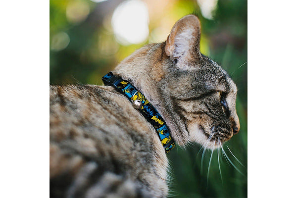 Batman: Poses And Logo Collage - Breakaway Cat Collar With Bell