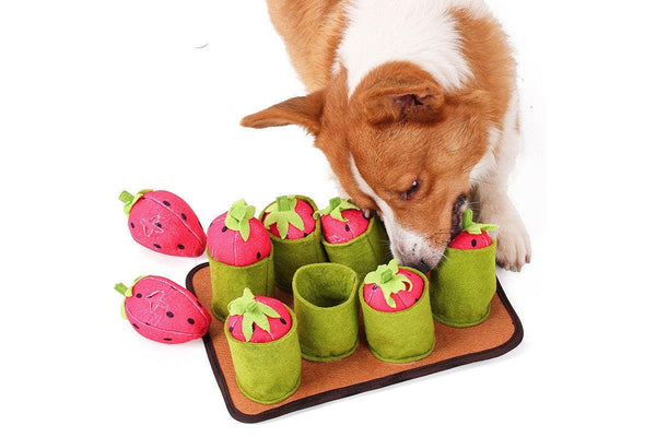 Strawberries Pull Out Snuffle Mat Dog Slow Feeding Treat Toy - One Size - Set Of 1