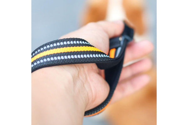 2m 3m 5m Reflective Cloth Handle Leash