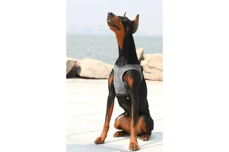 PetKit: Air Fly Dog Harness (Medium)