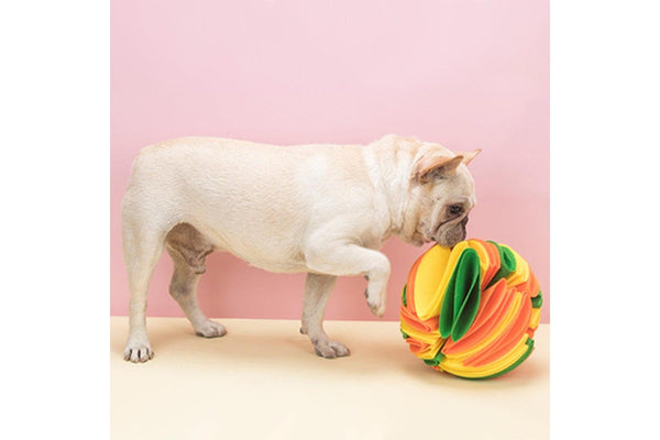 Pet Snuffle Ball Yellow