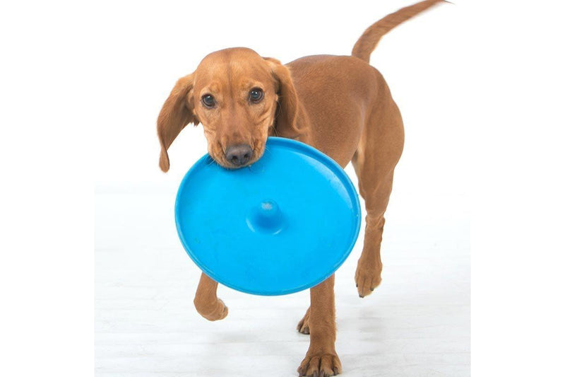 Dog Puppy Fetch Training Toy Flying Disc Frisbee Pet - Assorted Colours