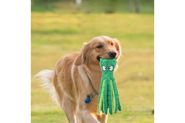 FancyGrab Dog Chew Toys Dog Squeaky Toys Octopus Squeaky Toys For Puppy Green