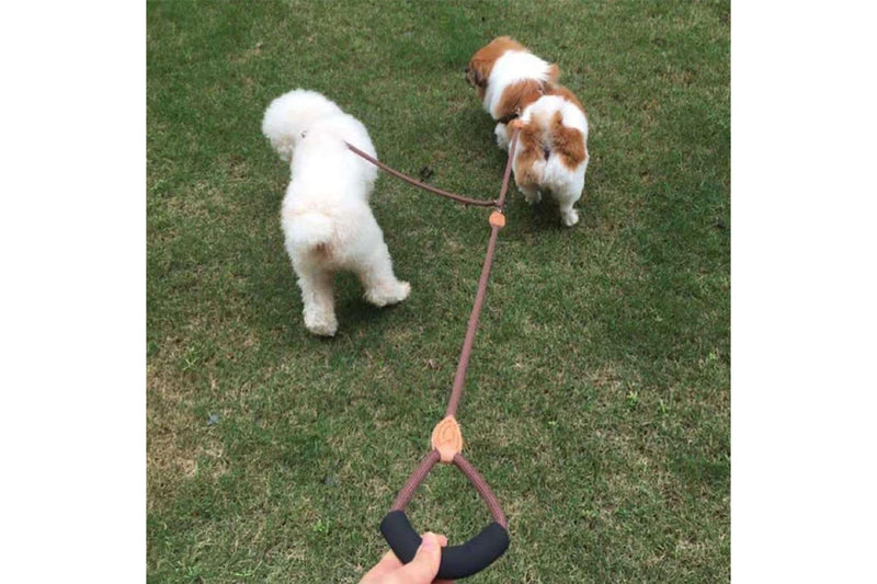 1 Leash For 2 Medium Dogs Traction Rope