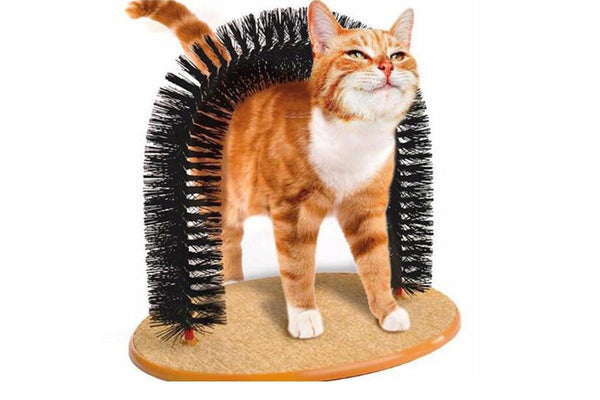 Cat Arch Self-Grooming & Massaging Scratching Brush