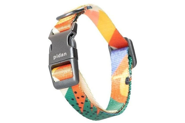 Pidan: Dog Collar with Metal Buckle S1