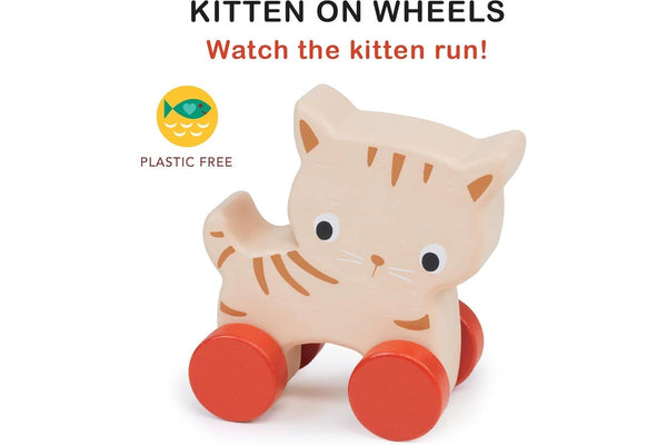 Mentari: Kitten On Wheels