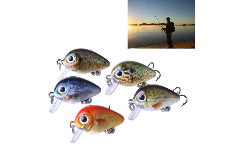 5 Piece Bionic Rock Fishing Lure Set With Plastic Box