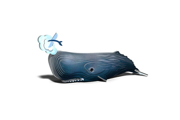 Eugy: Sperm Whale - 3D Cardboard Model