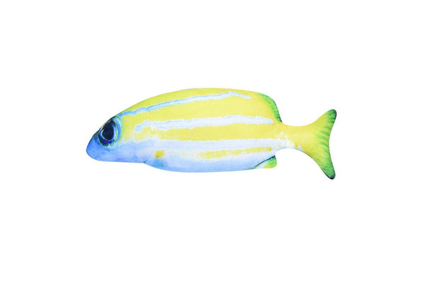 30cm Floppy Fish Cat Toy Realistic 3D Tail Wagging Fish Toy USB Rechargeable Cat Chew Toy -Style 1