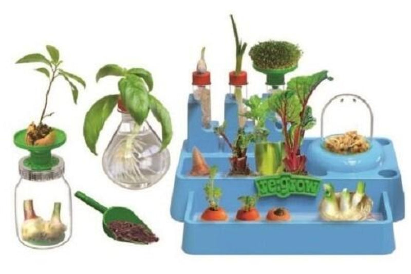 Science to the Max: Regrow Lab