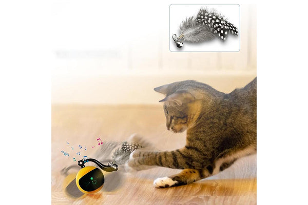 PETSWOL Interactive Cat Toy Ball with Remote Control - Yellow