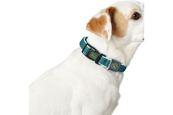 Dog Collar By Hunter Basic Thread Red 20