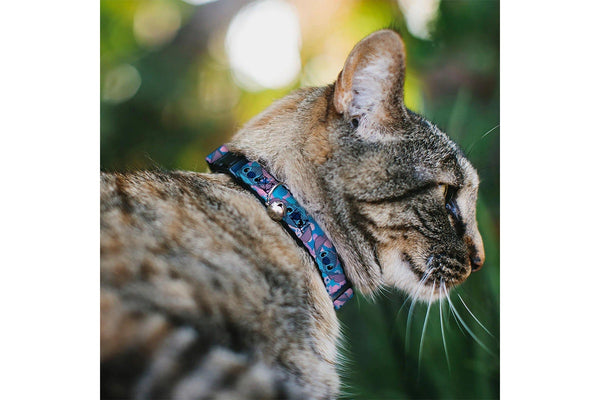 Lilo & Stitch Stitch: Flip Expressions - Breakaway Cat Collar With Bell