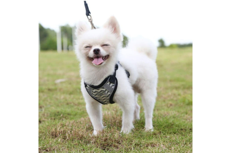 Stripe Printing Design Breathable Reflective Harness With Leash