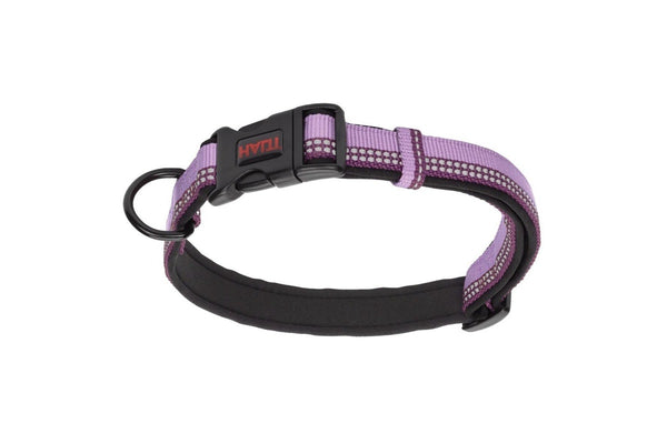 Halti Comfort Dog Collar (Purple) (S - Neckline: 25cm-35cm)